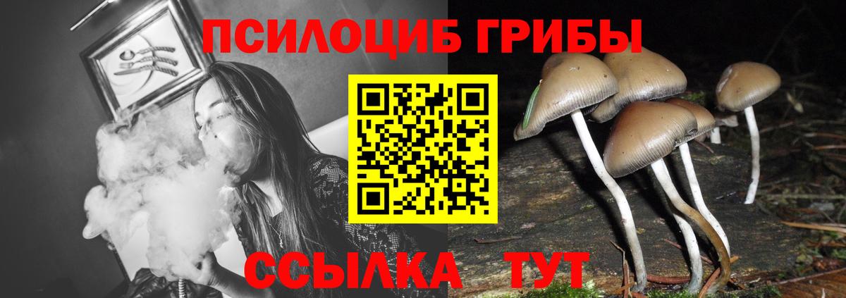 Ковров  Галлюциногенные грибы Psilocybine cubensis  Вход с VPN 